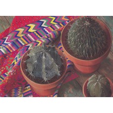 WATERMARK GREETING CARD CACTUS & GUATEMALAN CLOTH